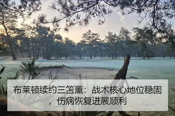 bu-lai-dun-xu-yue-san-shan-xun-zhan-shu-he-xin-di-wei-wen-gu-shang-bing-hui-fu-jin-zhan-shun-li-2-789.jpg