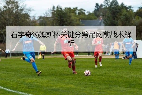 石宇奇汤姆斯杯关键分劈吊网前战术解析